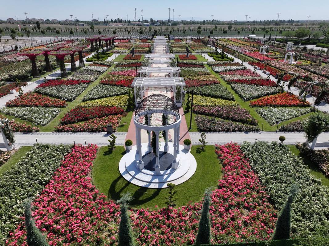 Doğanın en güzel tonları Karatay’da! Her detayıyla hayran bırakıyor 12